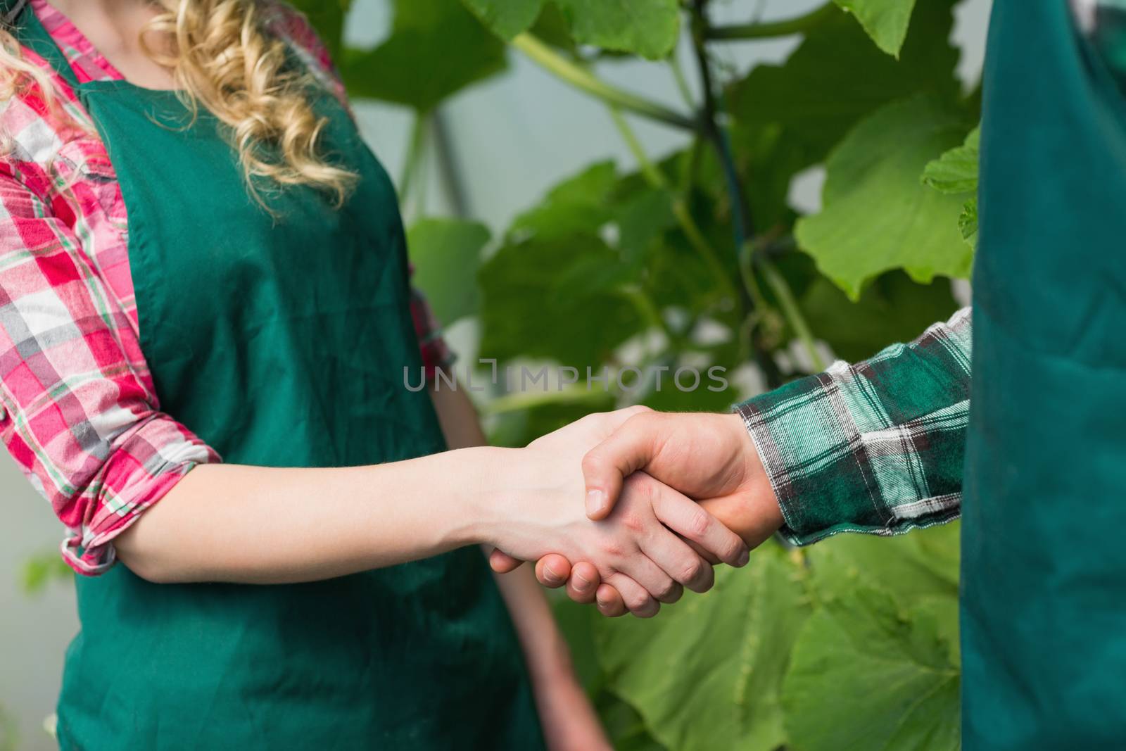 Two people shaking hands in a green house