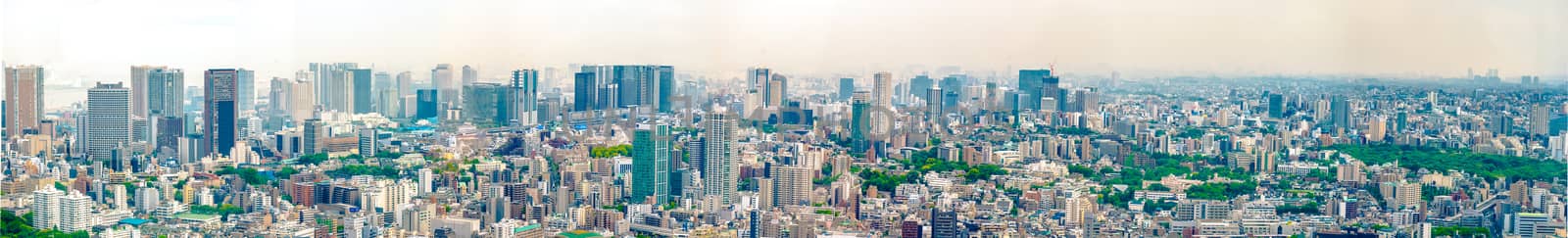 Tokyo city panorama from Mori Tower by raphtong