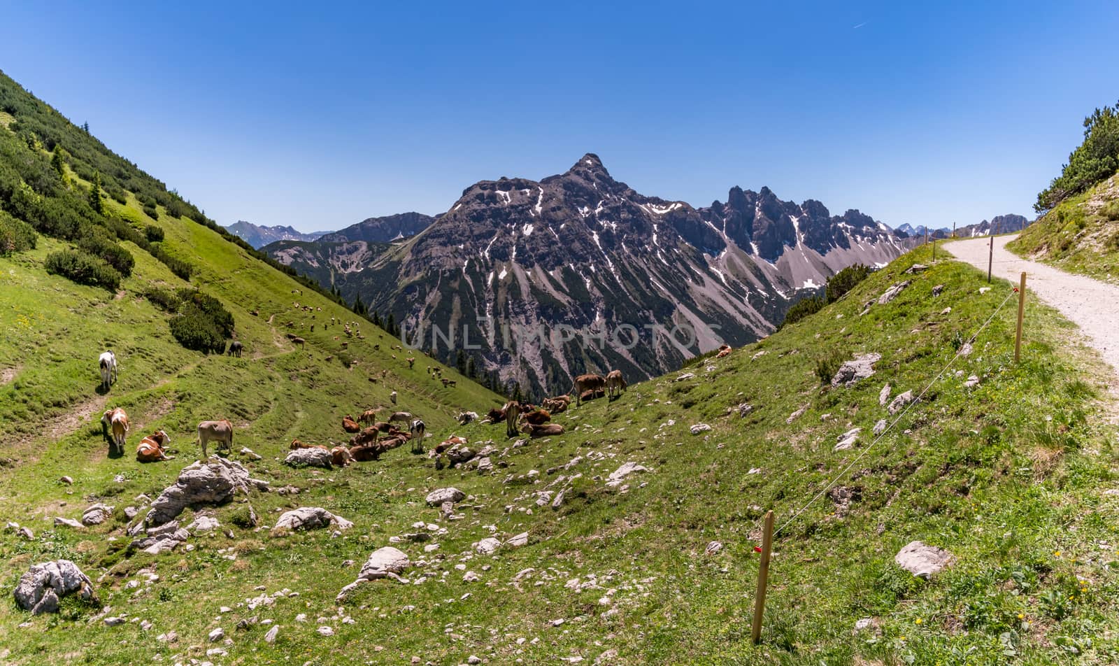 Fantastic hike in the Tannheim Mountains from the summit of Neunerkopfle over Landsberger hut to the beautiful Vilsalpsee.