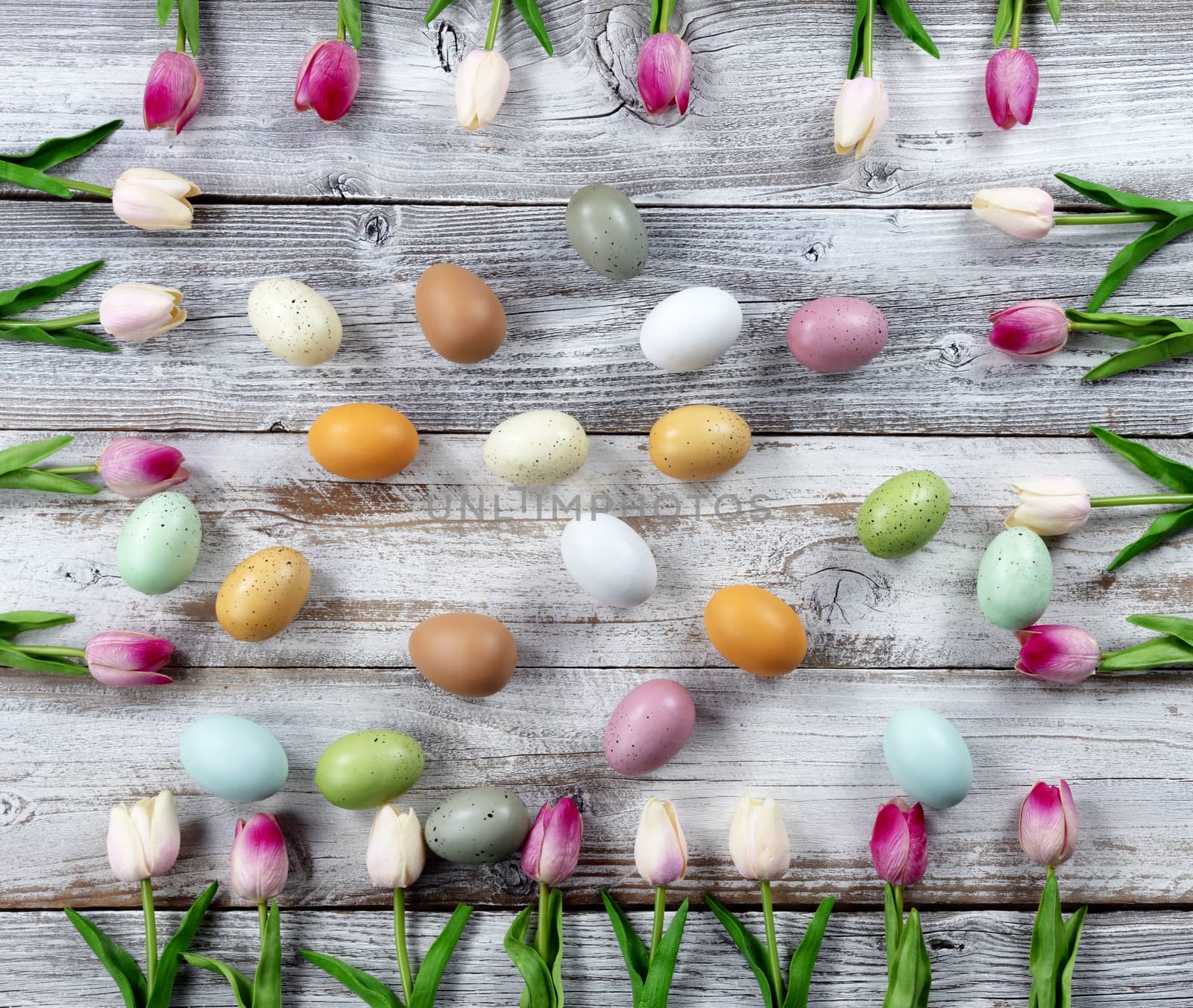 Happy Easter holiday concept with eggs surrounded by pink tulip  by tab1962