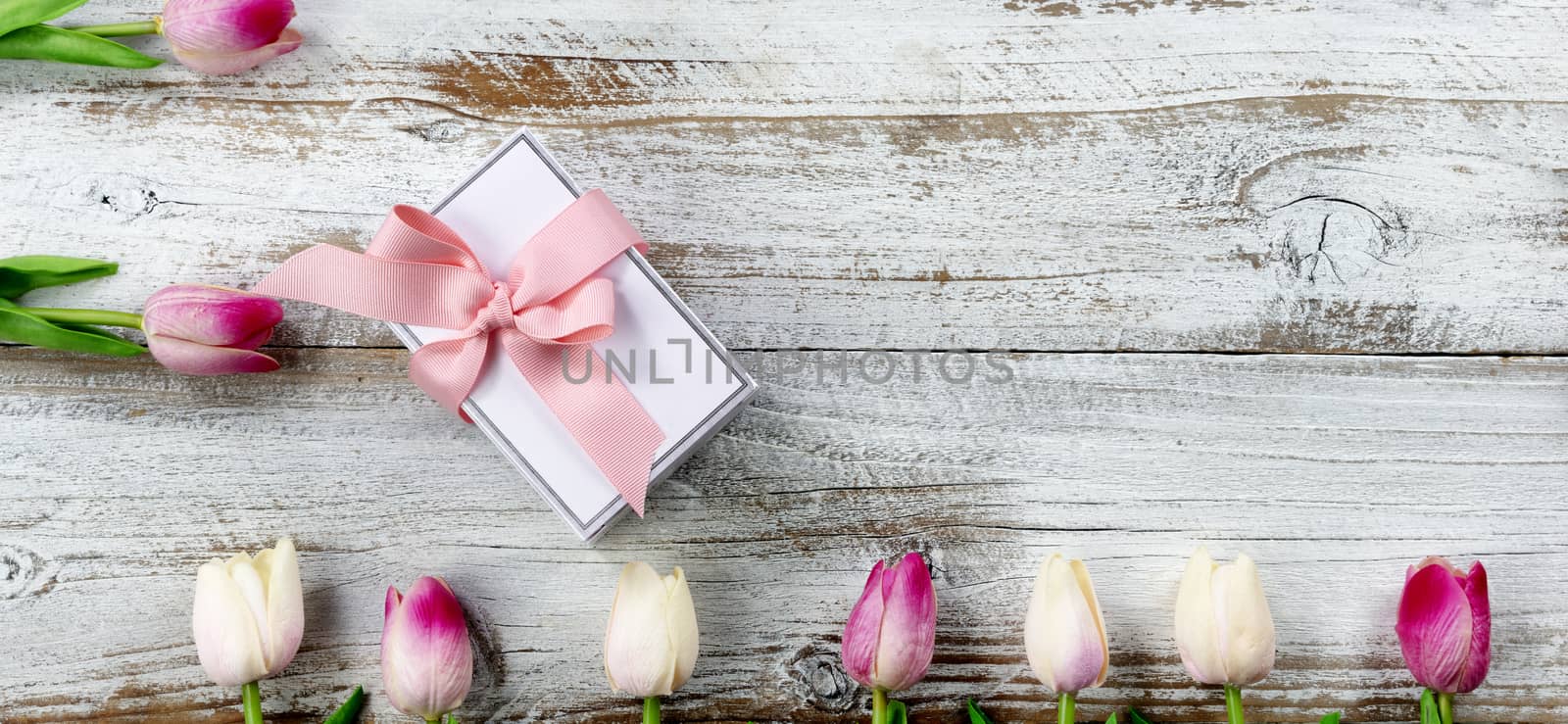 Happy Mothers Day concept with gift box and pink tulips on white by tab1962