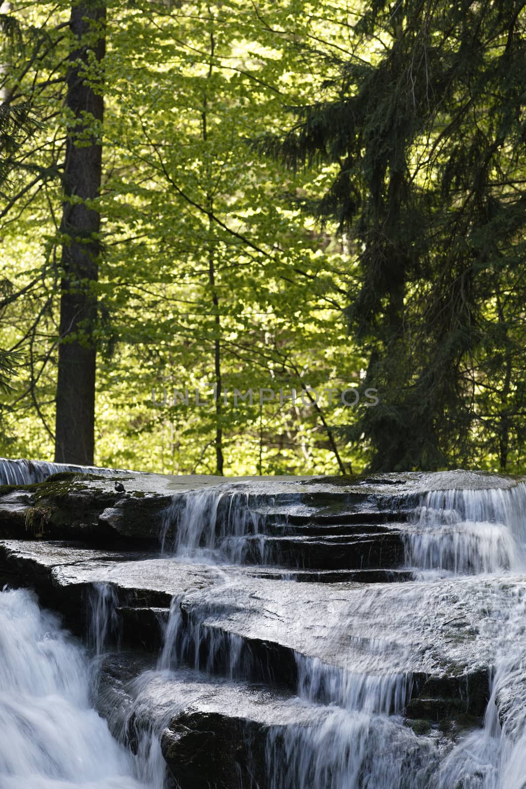 Beautiful view of Szklarka Falls in super green forest surroundings, Karkonoski National Park, Poland