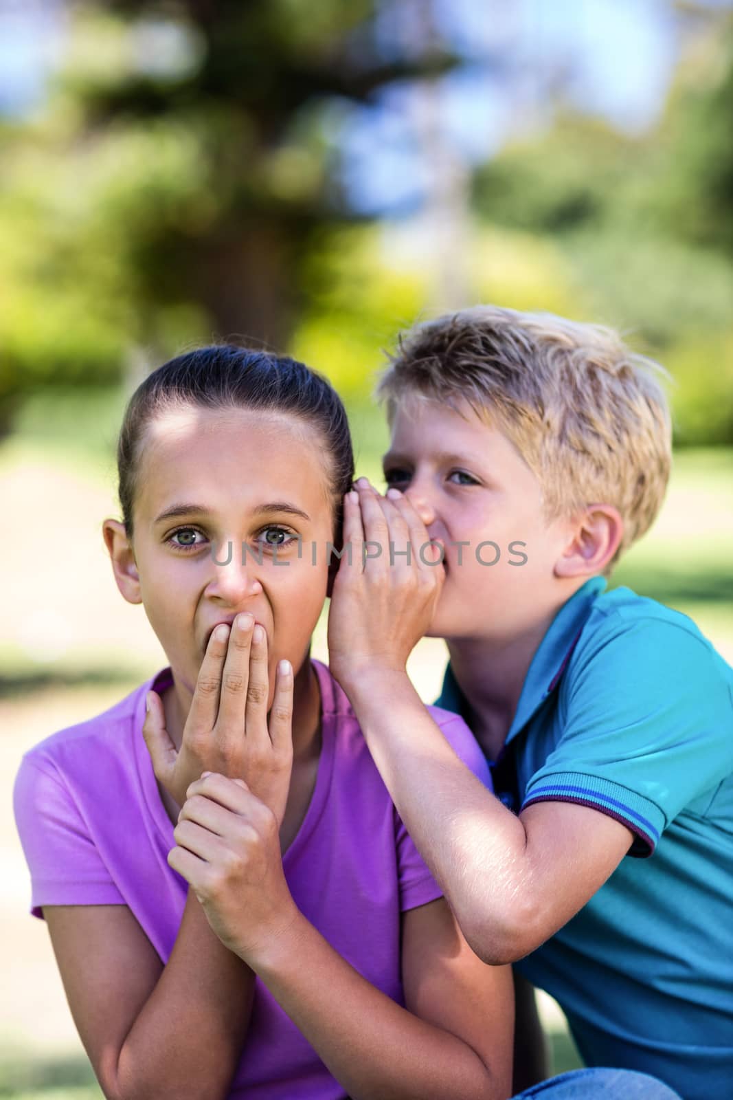Boy whispering in his sisters ear in park