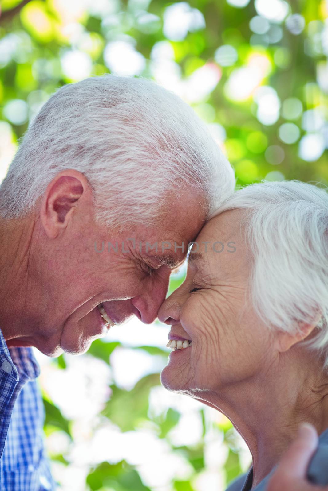 Romantic senior couple with eyes closed by Wavebreakmedia