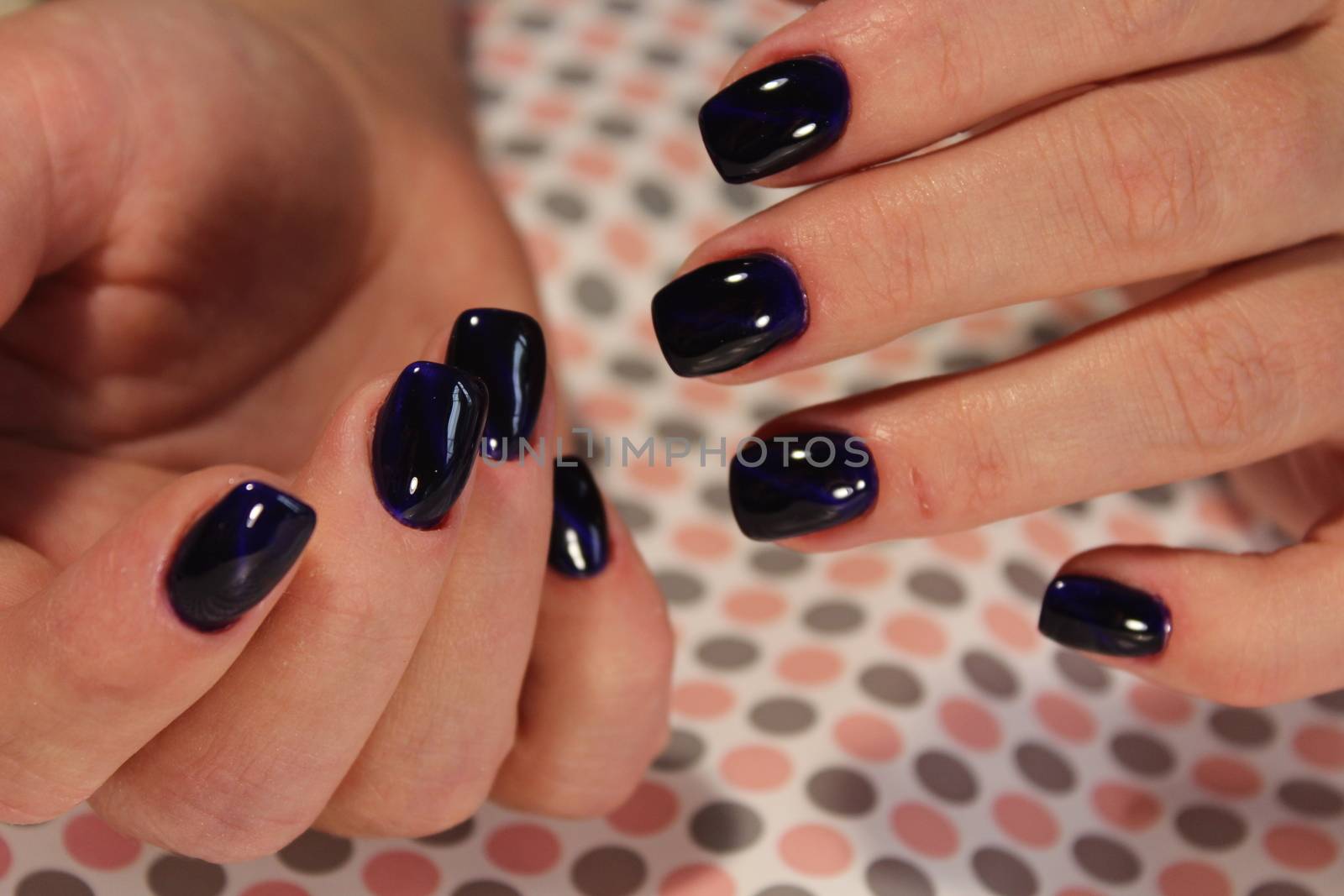 Beautiful manicure gel with cat lacquer eye