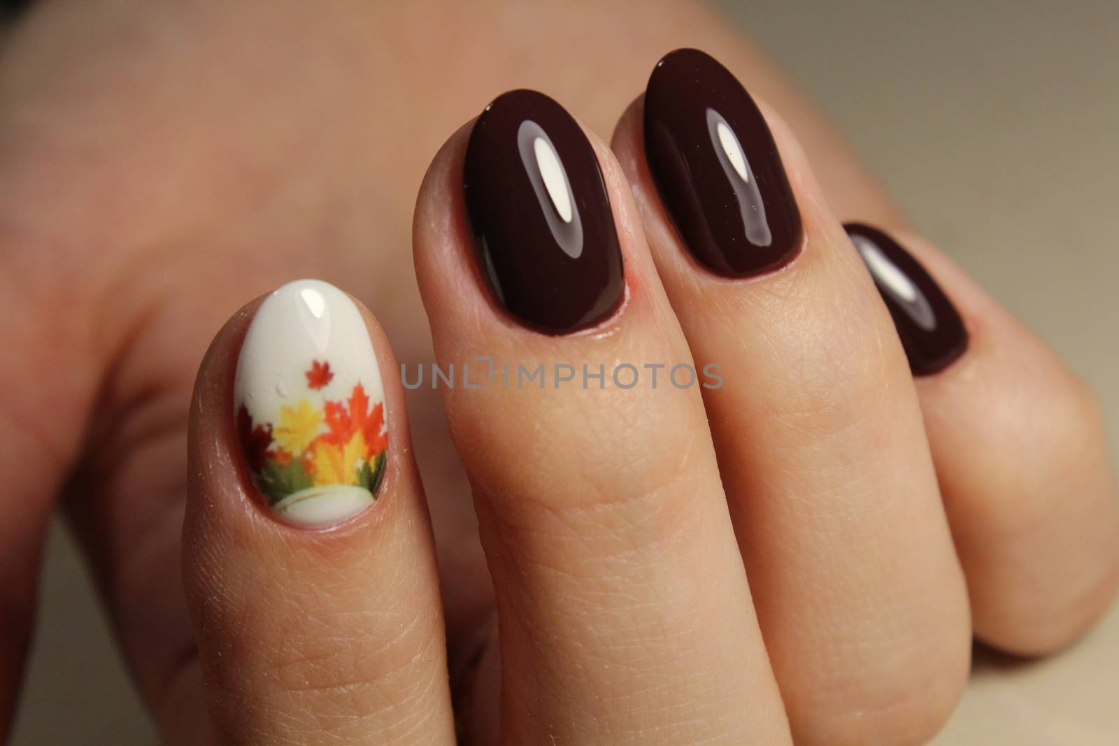 Manicure design brown by SmirMaxStock