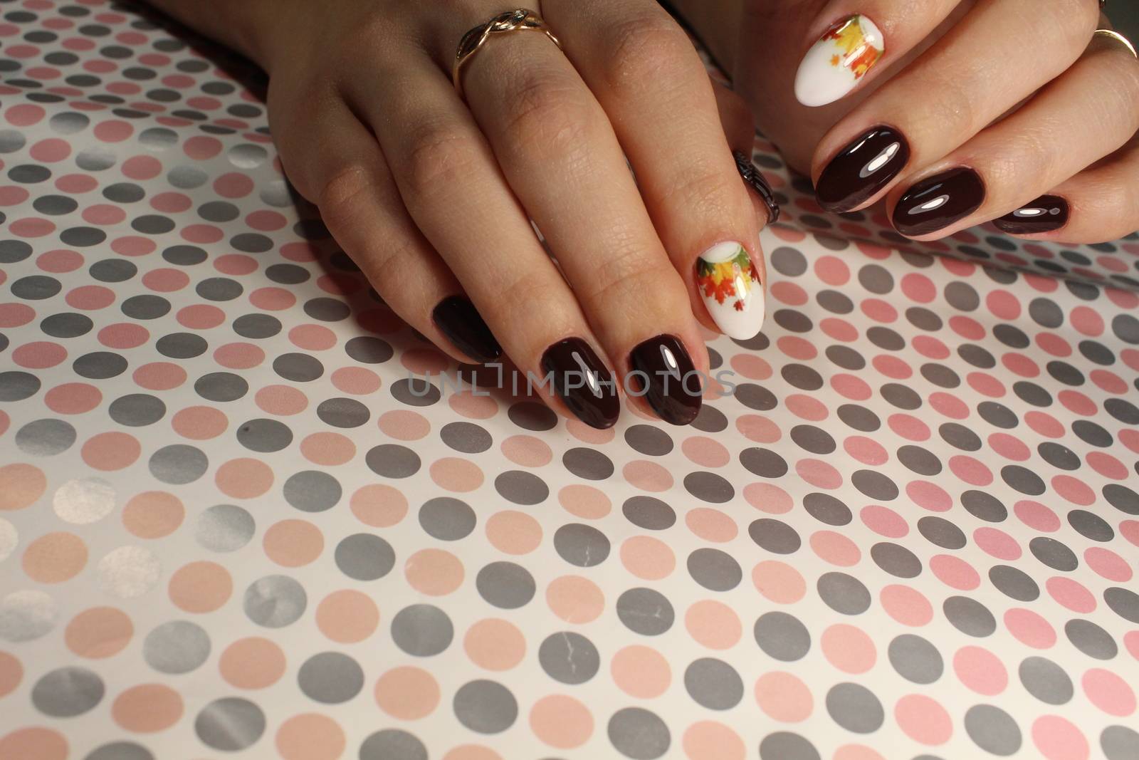 Beautiful manicure design brown with a pattern by SmirMaxStock