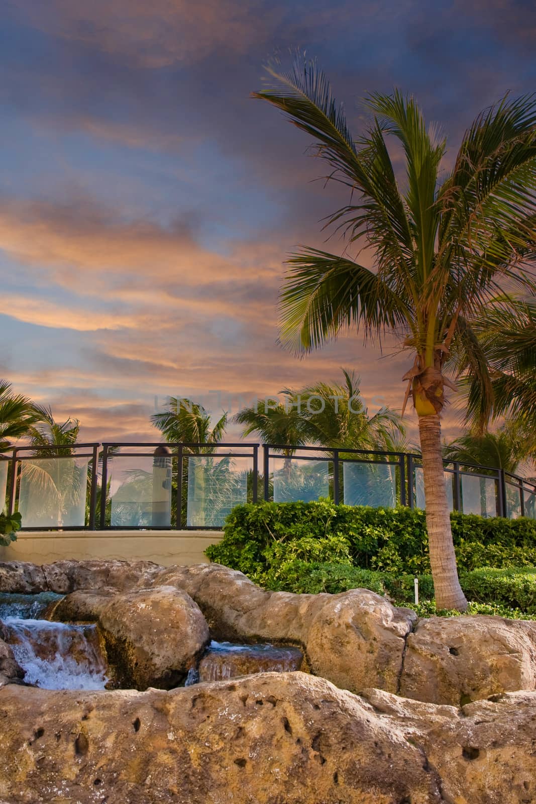 Palm Tree and Fountain at Dusk by dbvirago