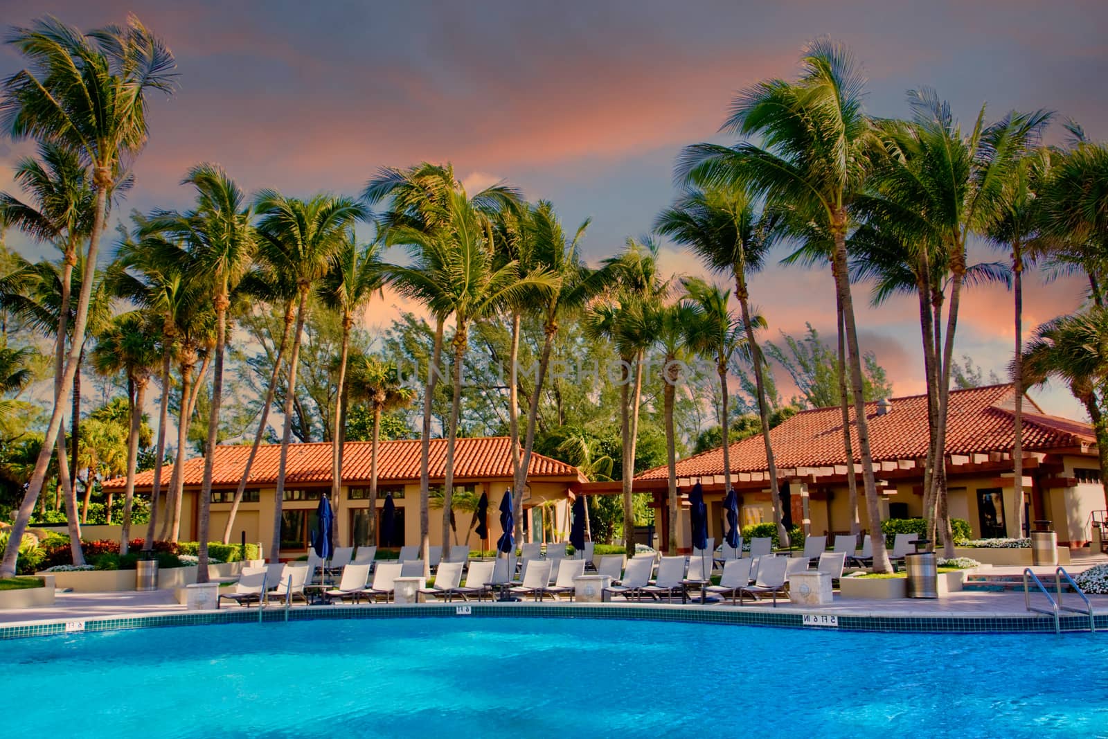 Pool Cabanas and Palms at Dusk by dbvirago