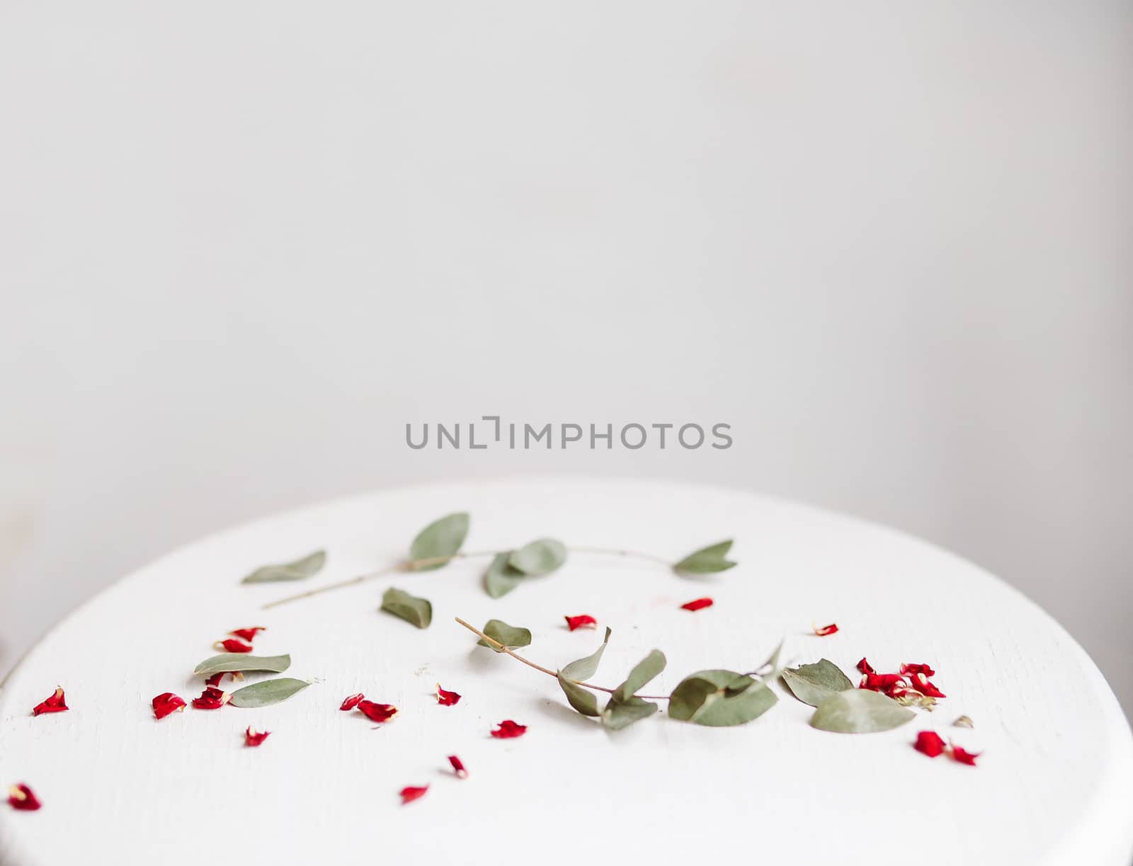 Red and green petals on white stand. Copyspace
