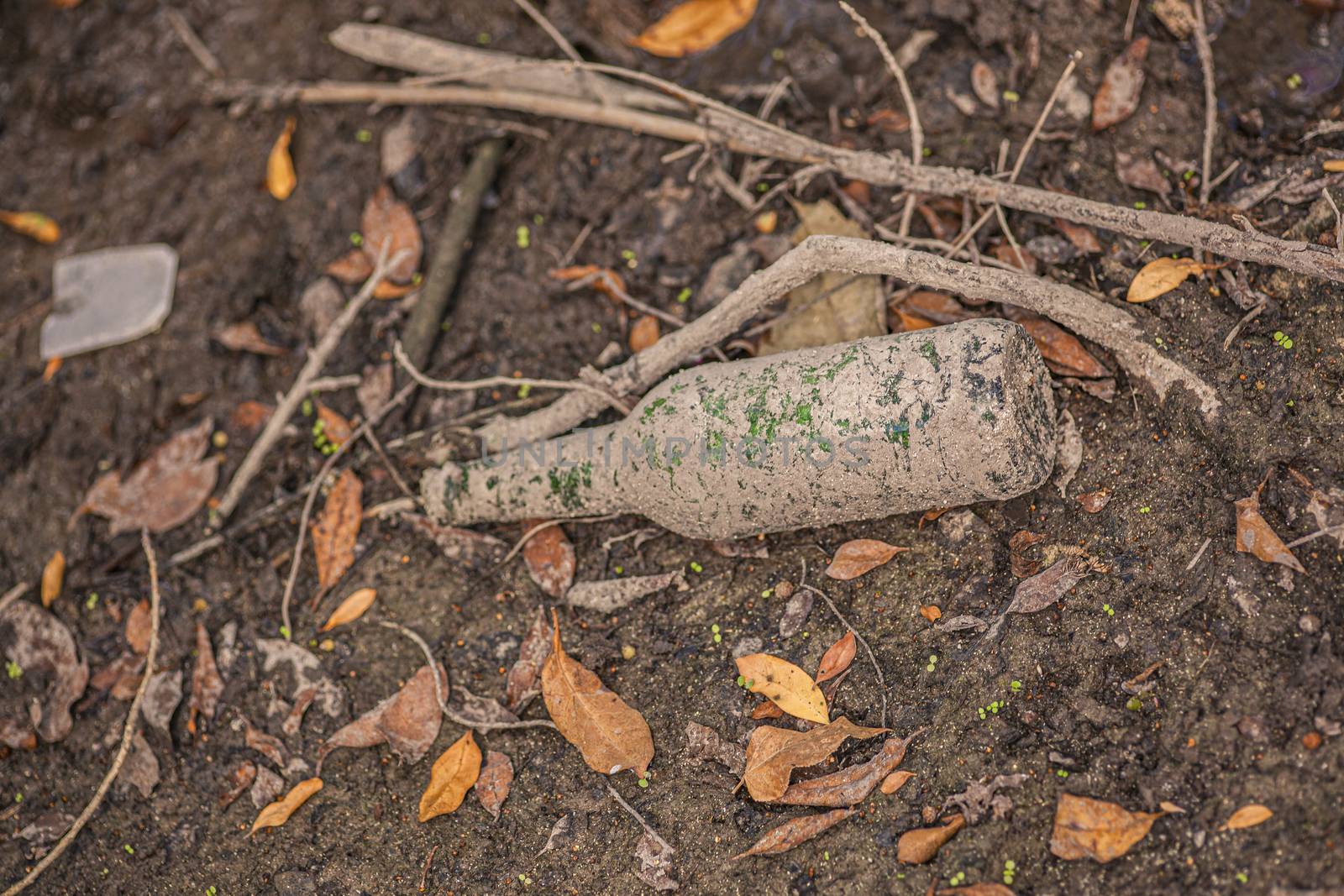 Glass bottle on the ground in a natural place