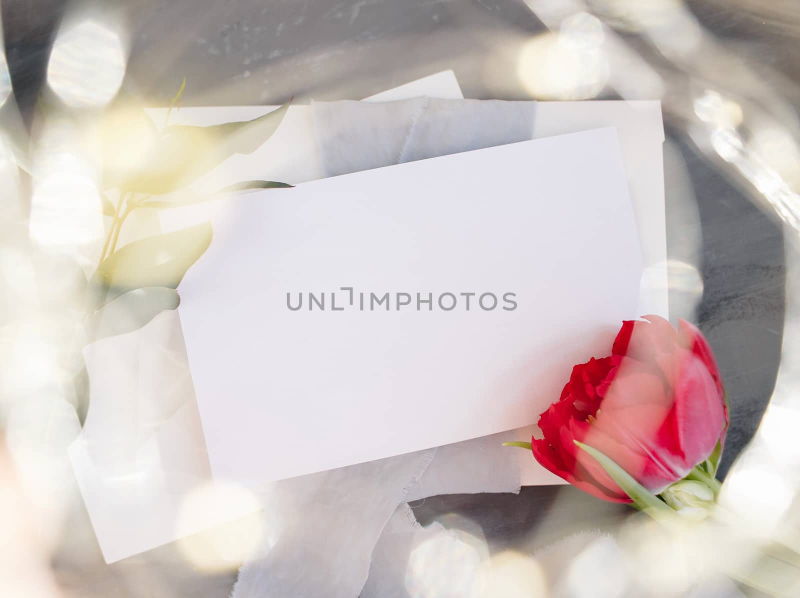 Blank paper copy space. Frame with flowers. Silk ribbon. Gray background. Simple bouquet. Greeting card