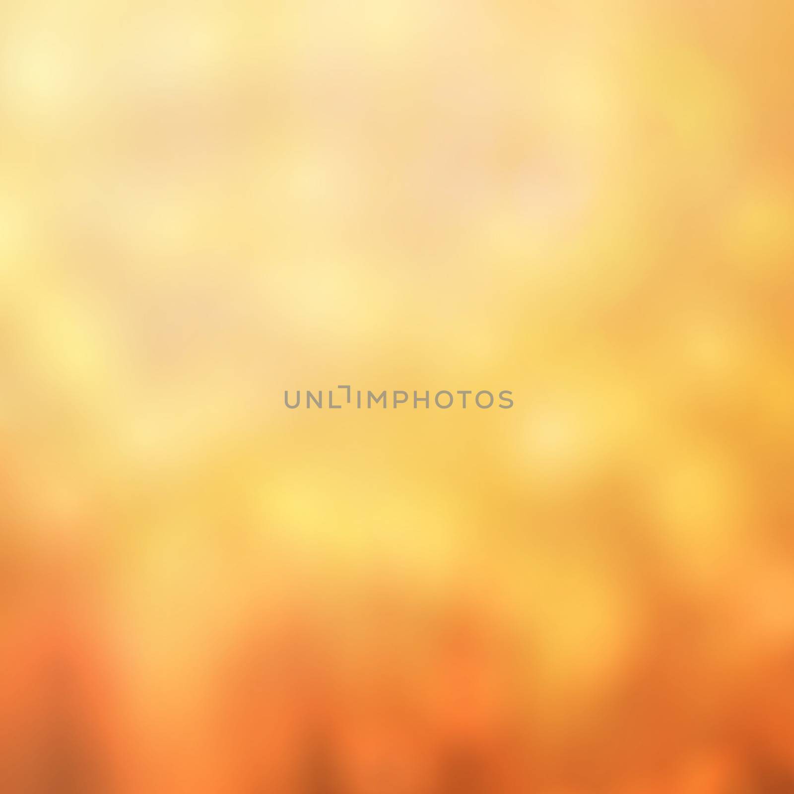 Colorful background with lights