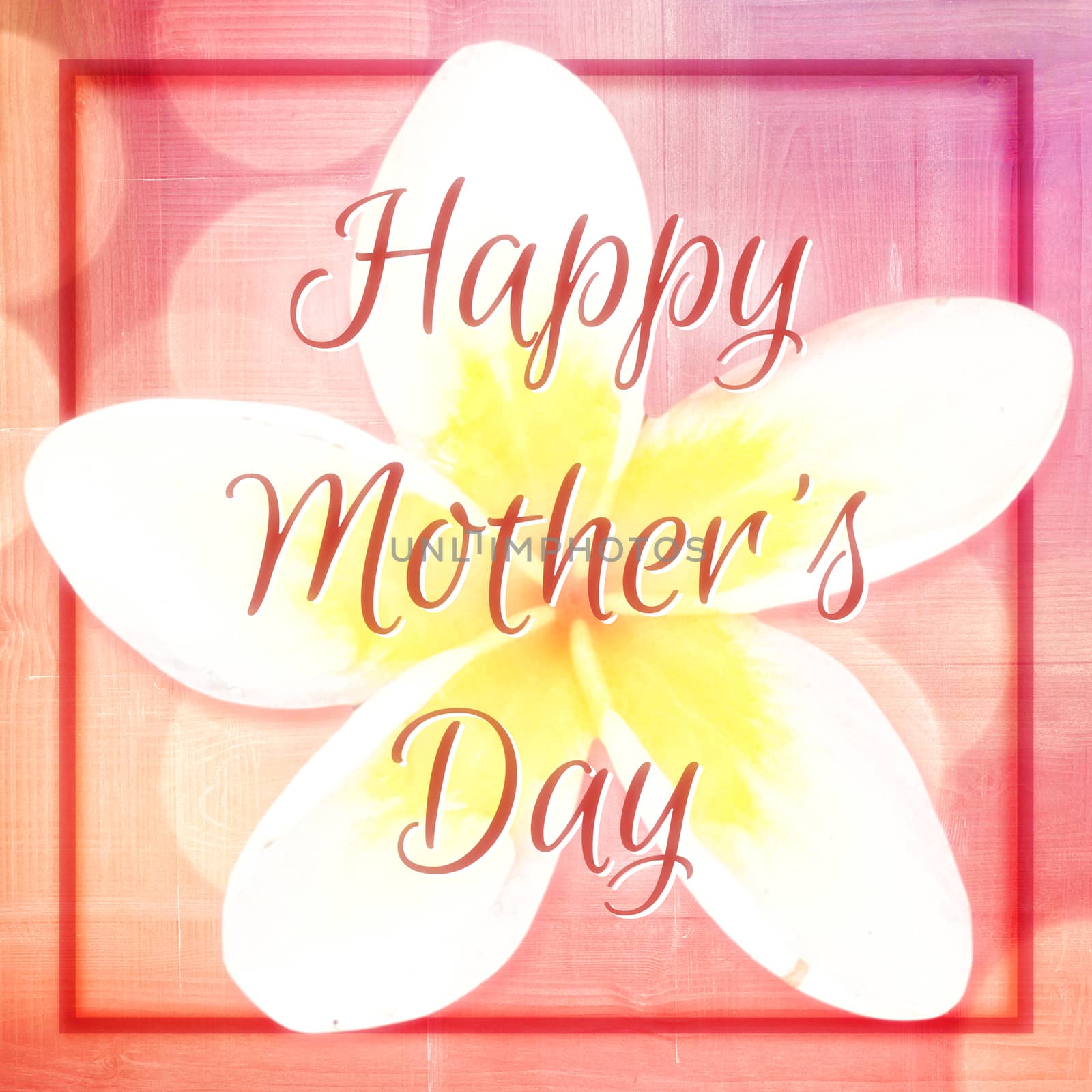 Happy mothers day message on flower background