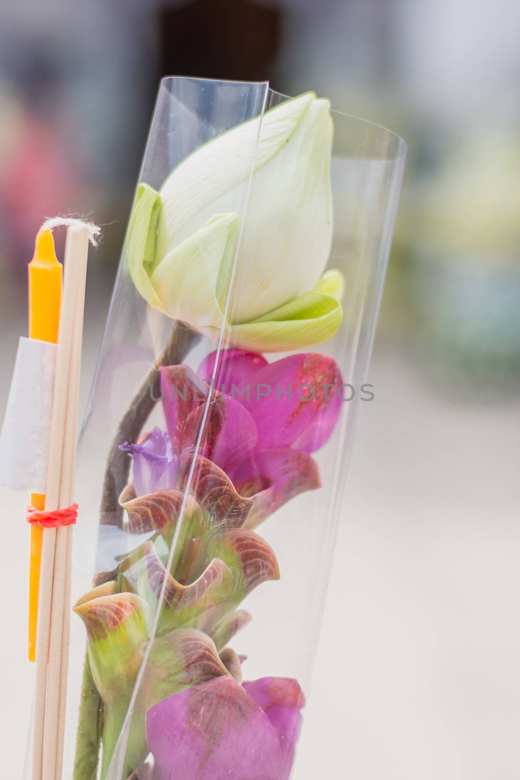 Lotus, incense and candles for paying respect to god on important Buddhist days