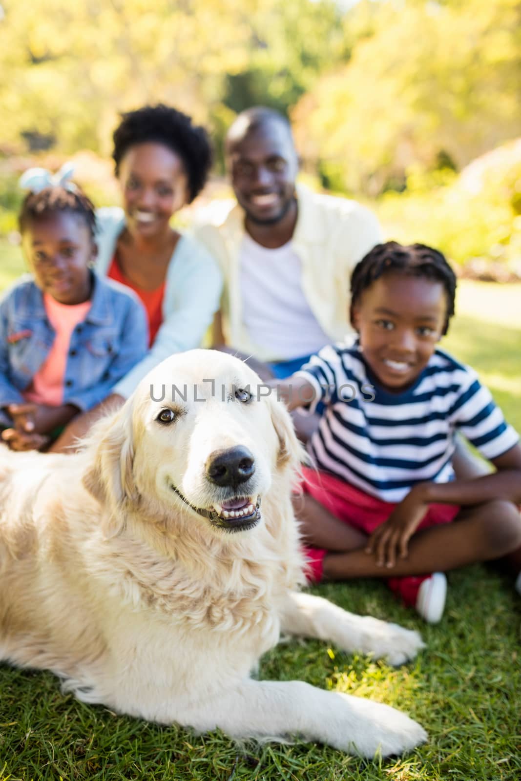 Happy family posing together at park