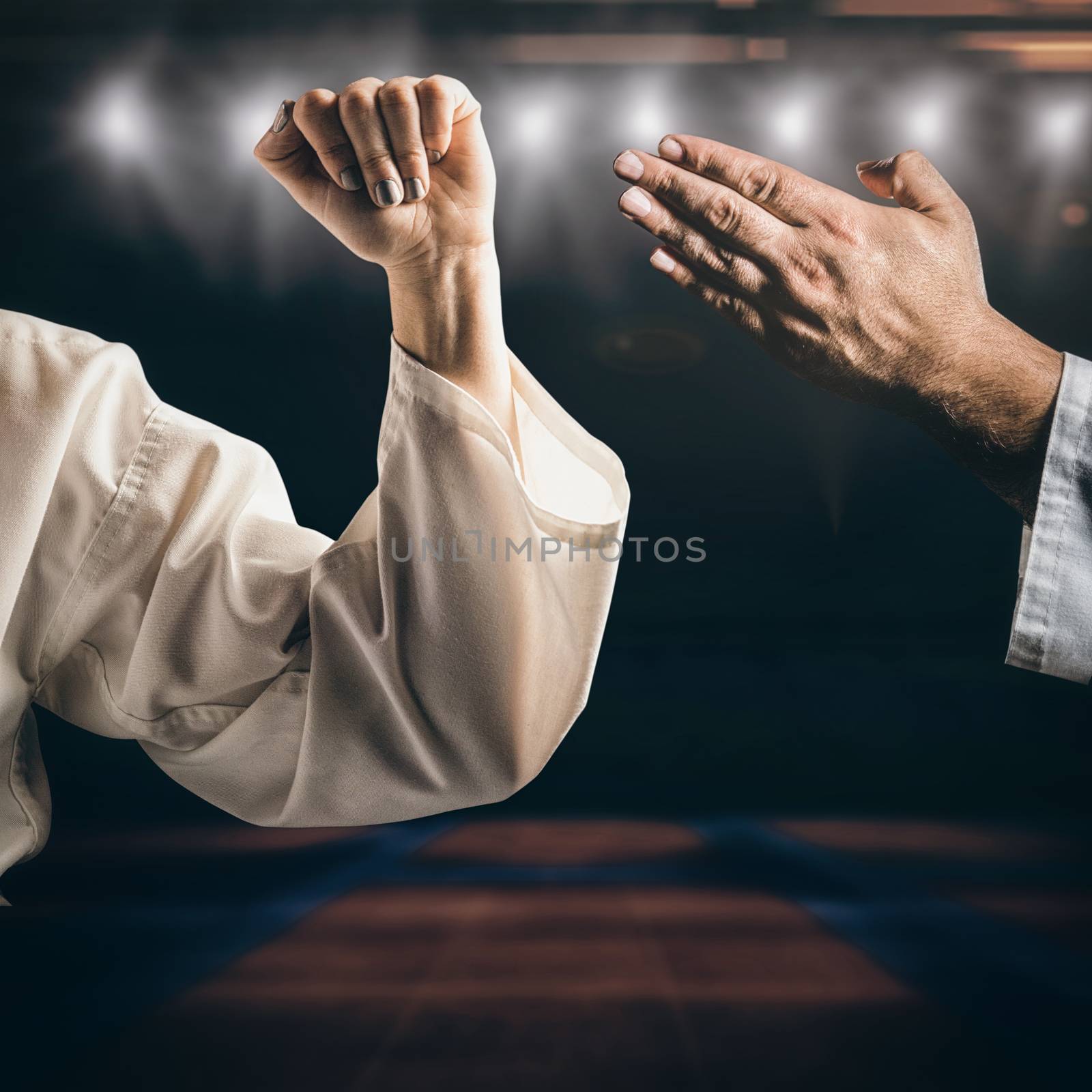 Female fighter performing karate stance against view of a playing field indoor