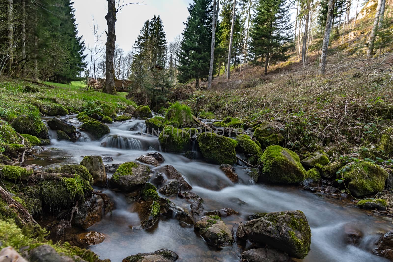 Hike on the Belchen with a fantastic panoramic view in beautiful Schonau in the Black Forest