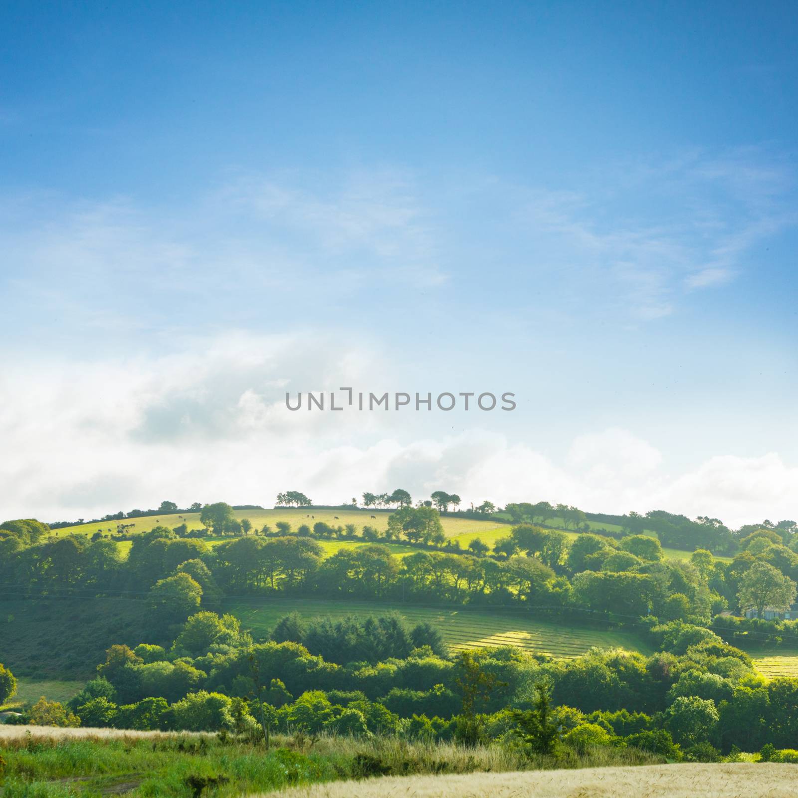 Composite image of a country scene with forest