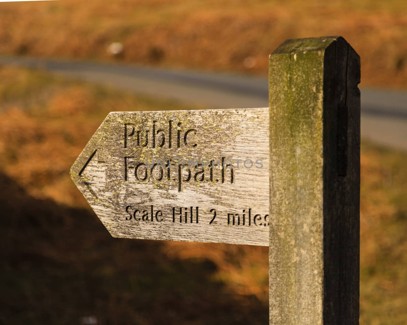 A wooden signpost marking a public footpath close to Crummock Water in the English Lake District national park.