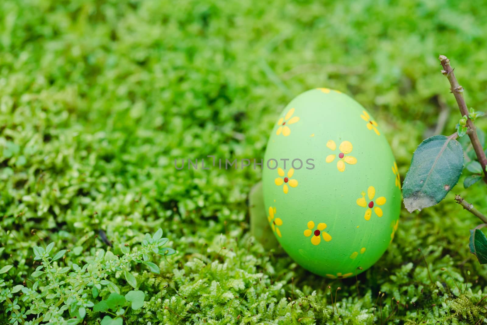 Beautiful Easter green color egg on garden green grass by Sorapop