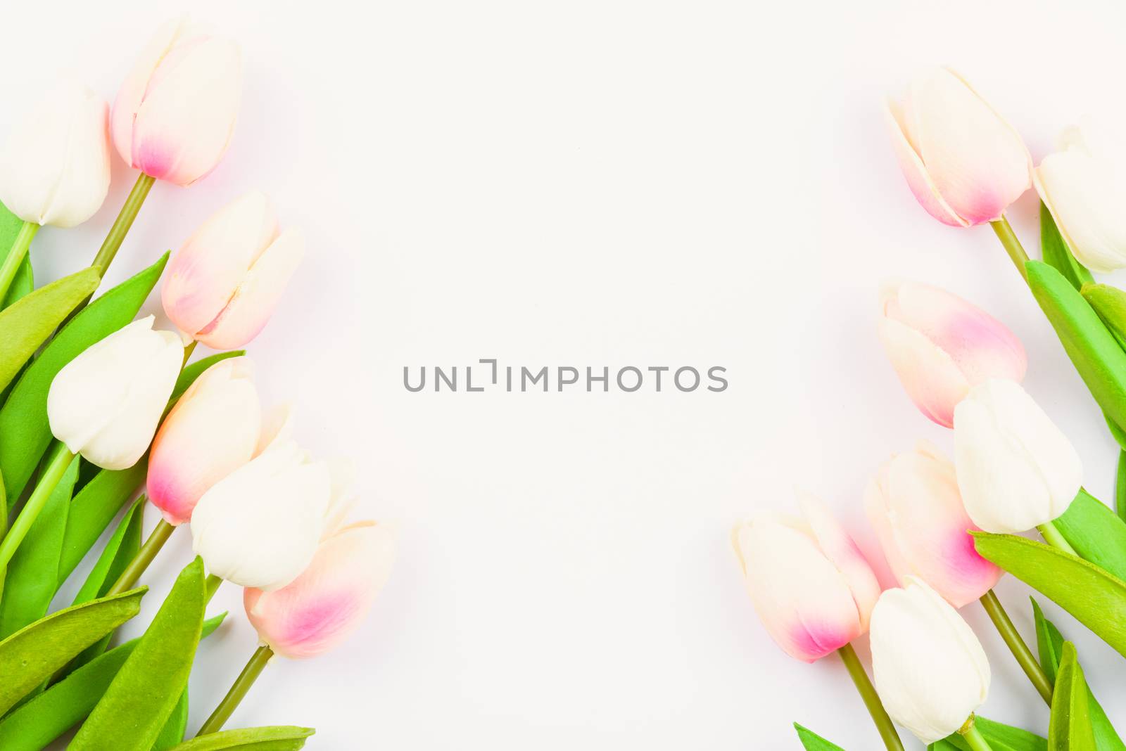 Happy Women's Day, Mother's Day and Valentine's Day concept. top view flat lay Tulip flower on white background, copy space for your text