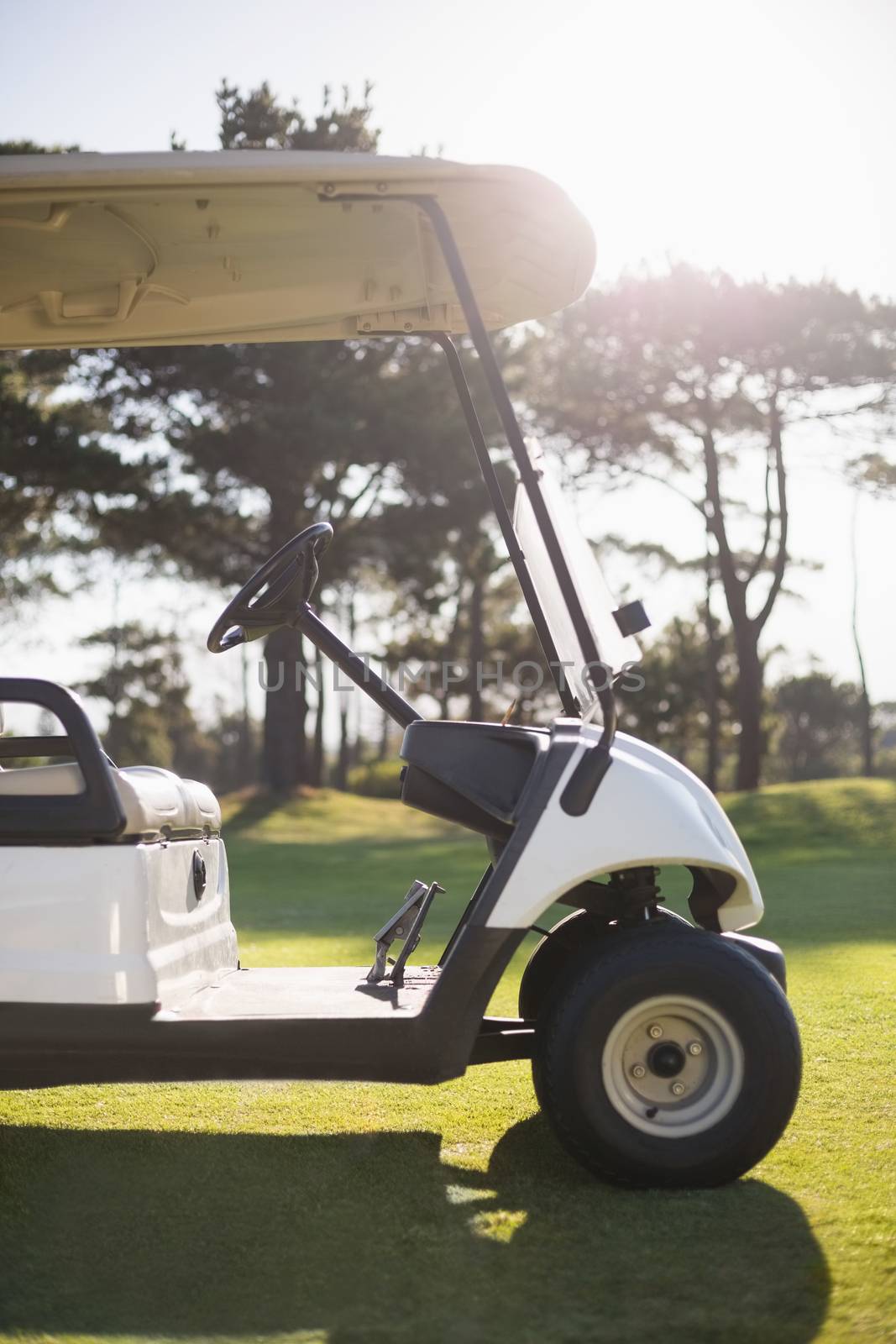 White golf buggy on field during sunny day