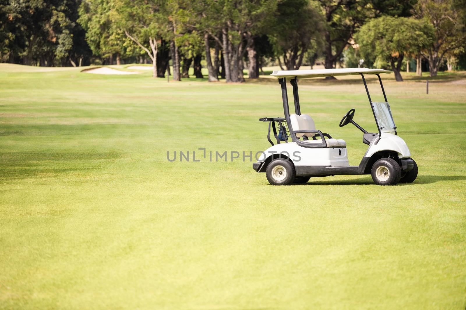 Alone golf buggy on golf course by Wavebreakmedia