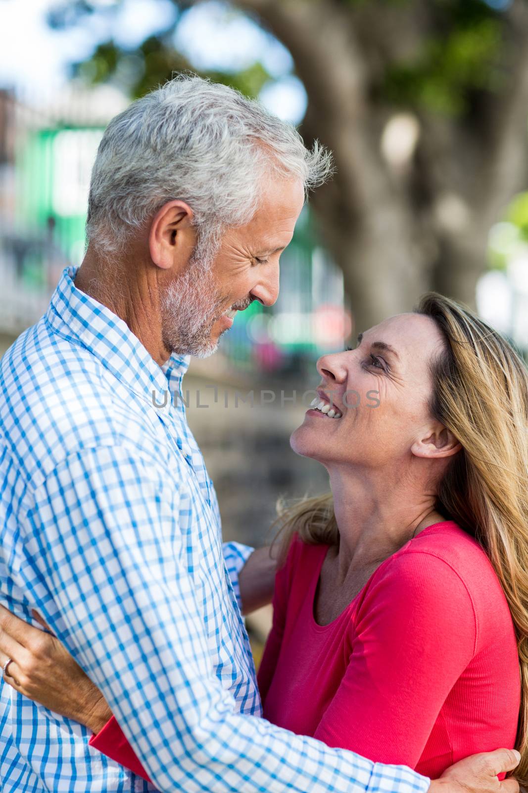 Romantic mature couple hugging by tree in city