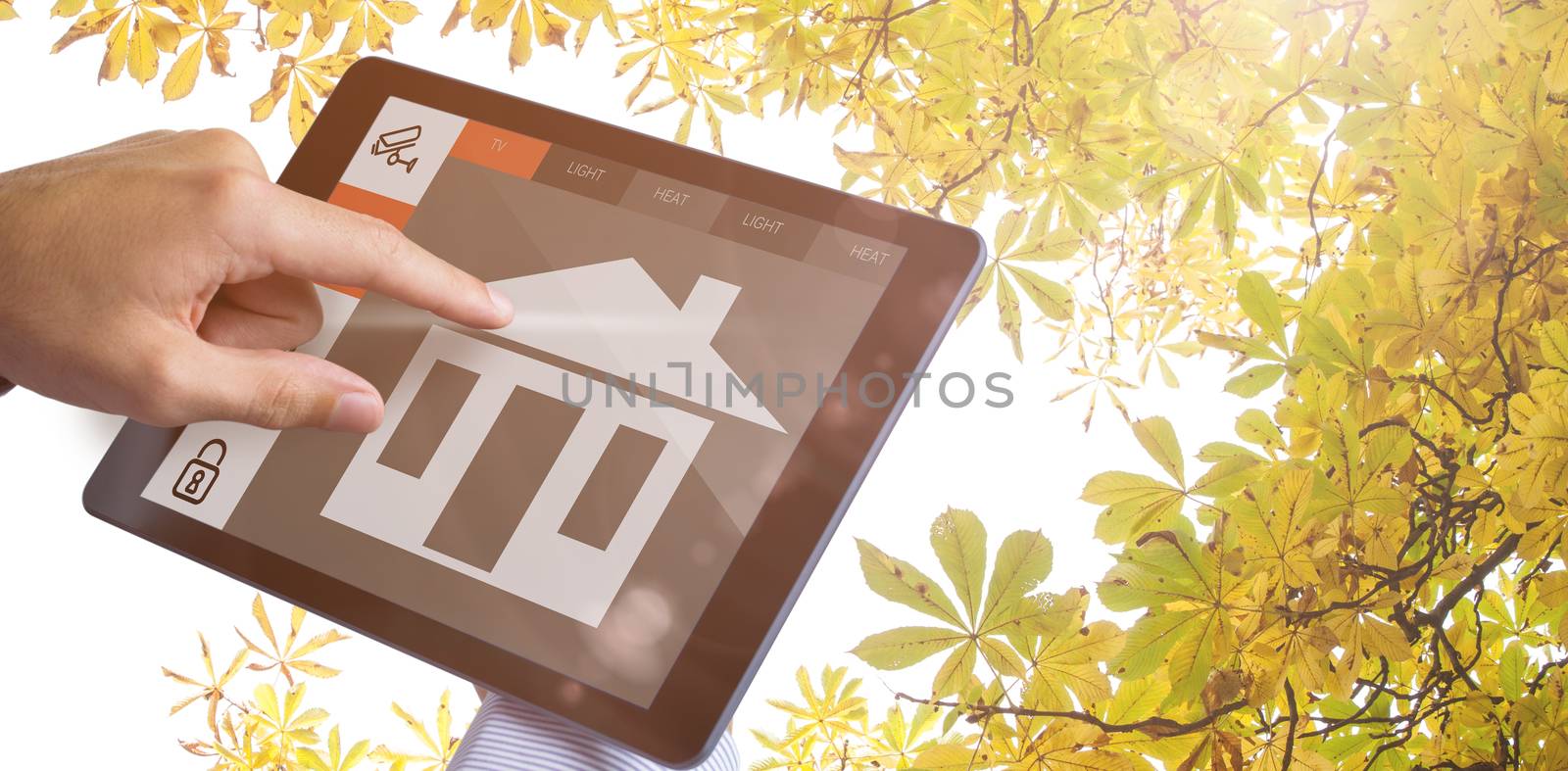 Man using tablet pc  against autumnal leaves against the clear sky