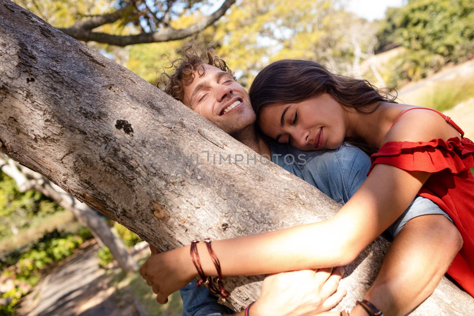 Romantic couple embracing each other in park on a sunny day