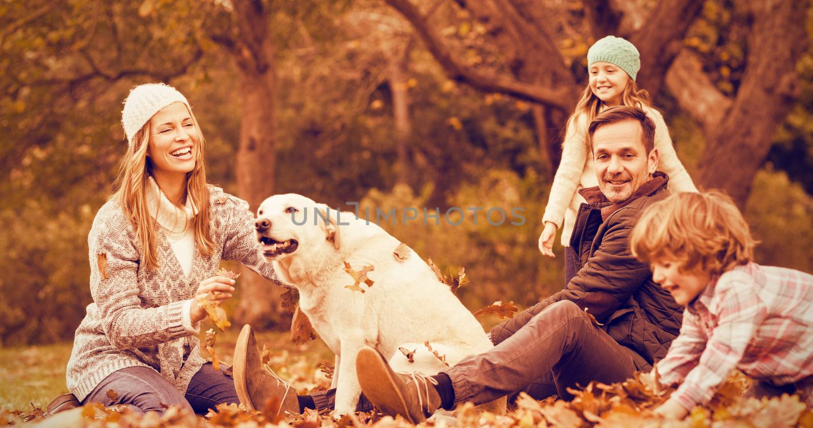 Young family with a dog in leaves by Wavebreakmedia