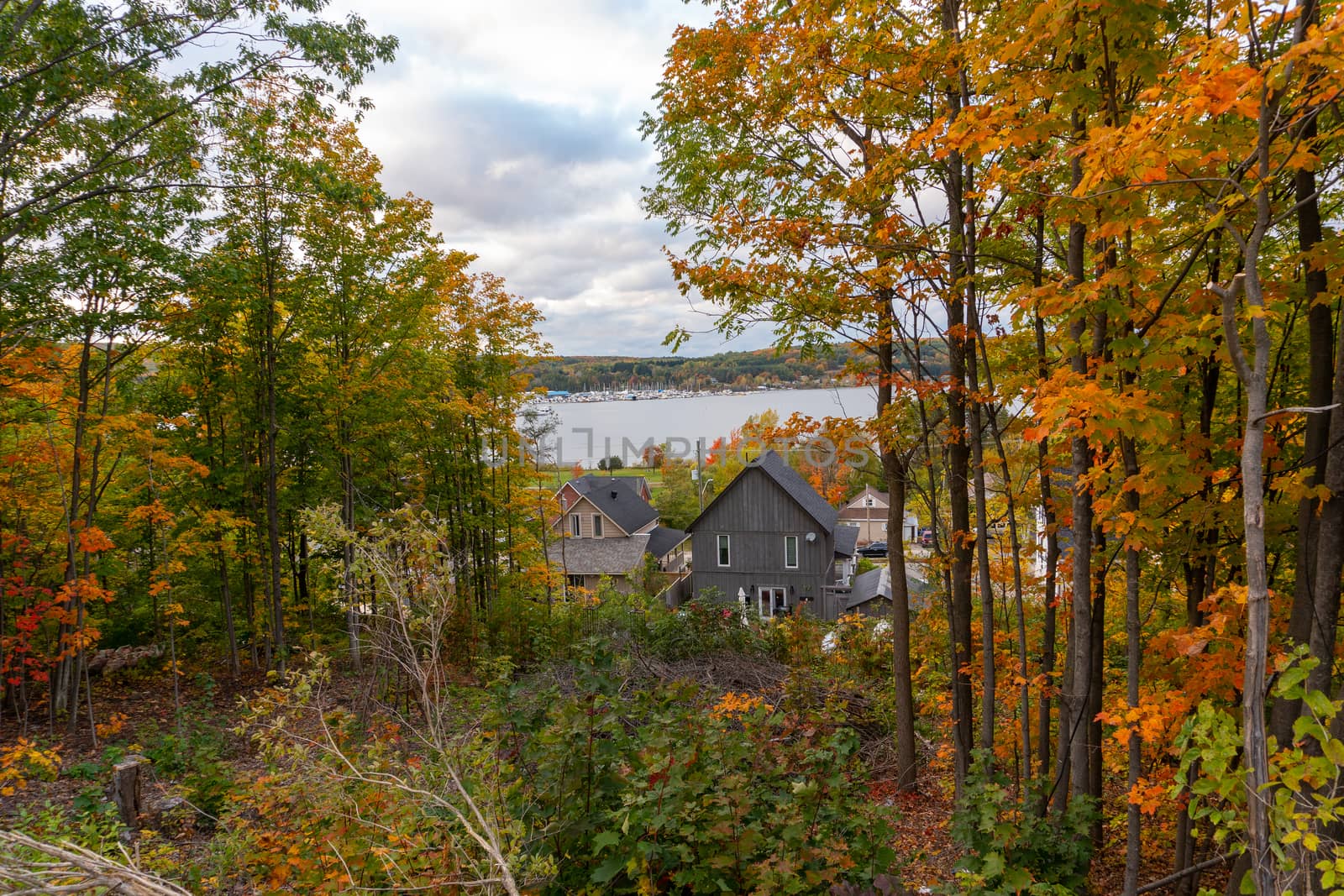 Houses in the autumn forest near the lake where yachts are visible on the pier. Photo taken from the top

