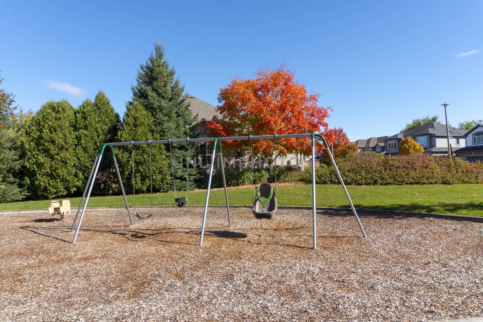 Swings on a playground against red maple by ben44