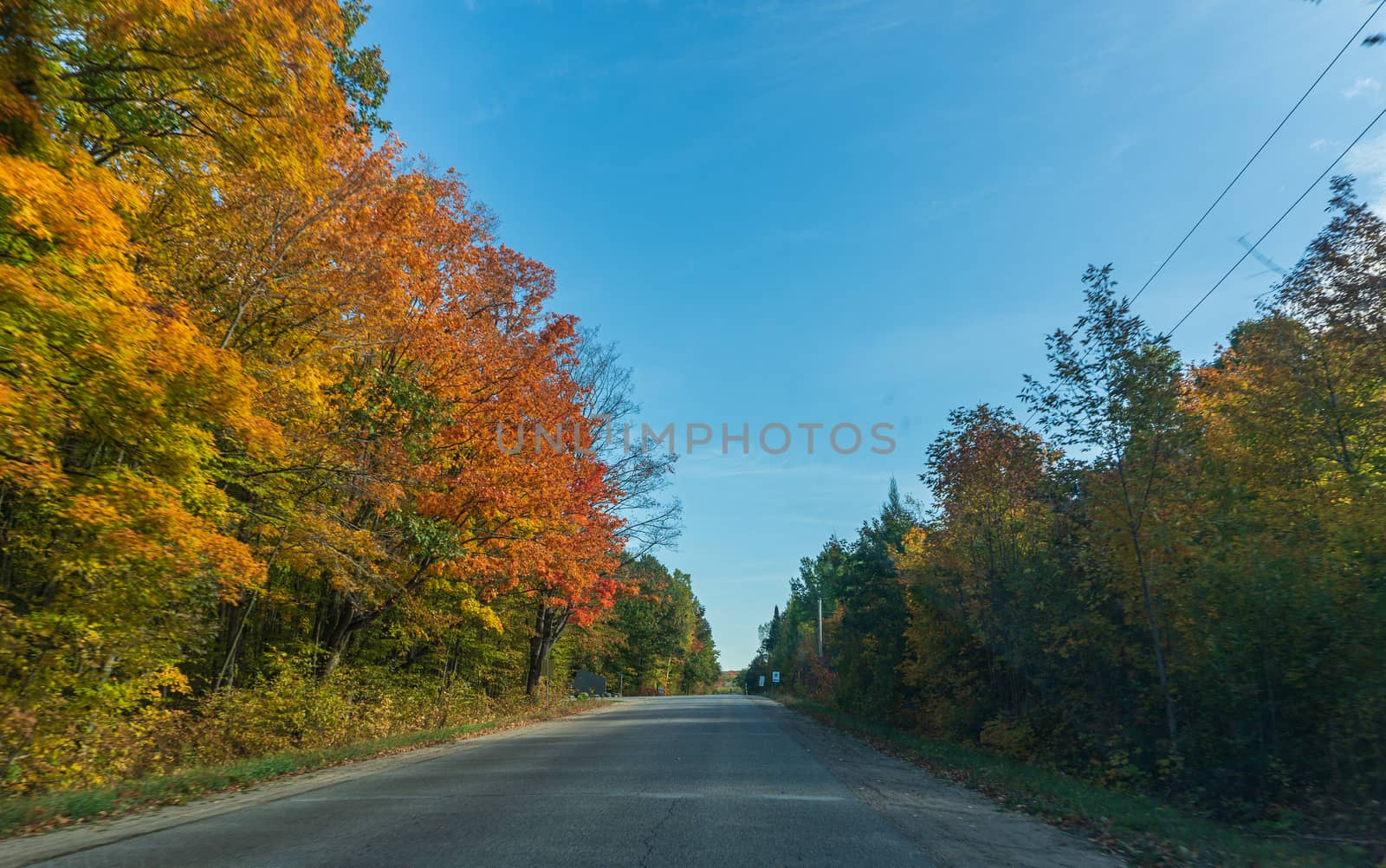 Autumn road to large lakes, maple leaves on the sidelines have already begun to turn yellow