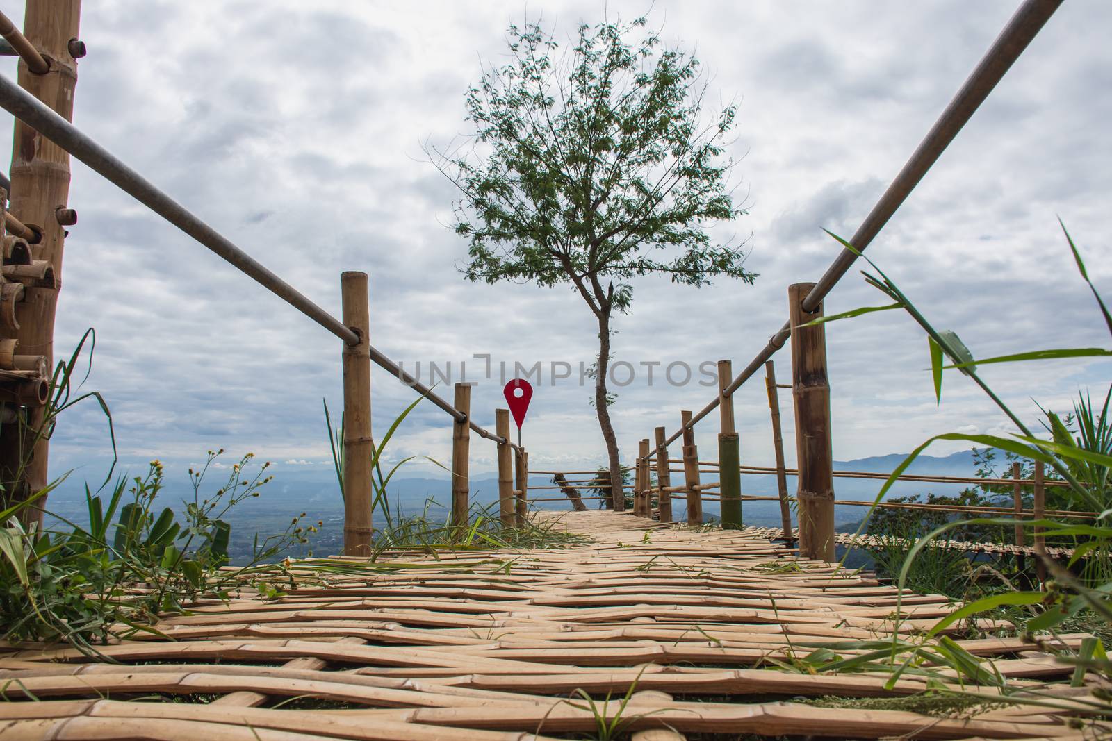 This place is located on Doi Tung, a popular viewpoint and touri by anuraksir