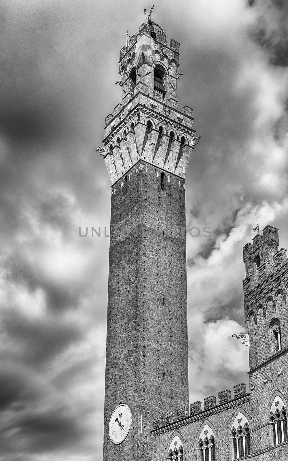 View of Torre del Mangia medieval tower, located in Piazza del Campo, it is one of the most iconic landmark of Siena, Italy