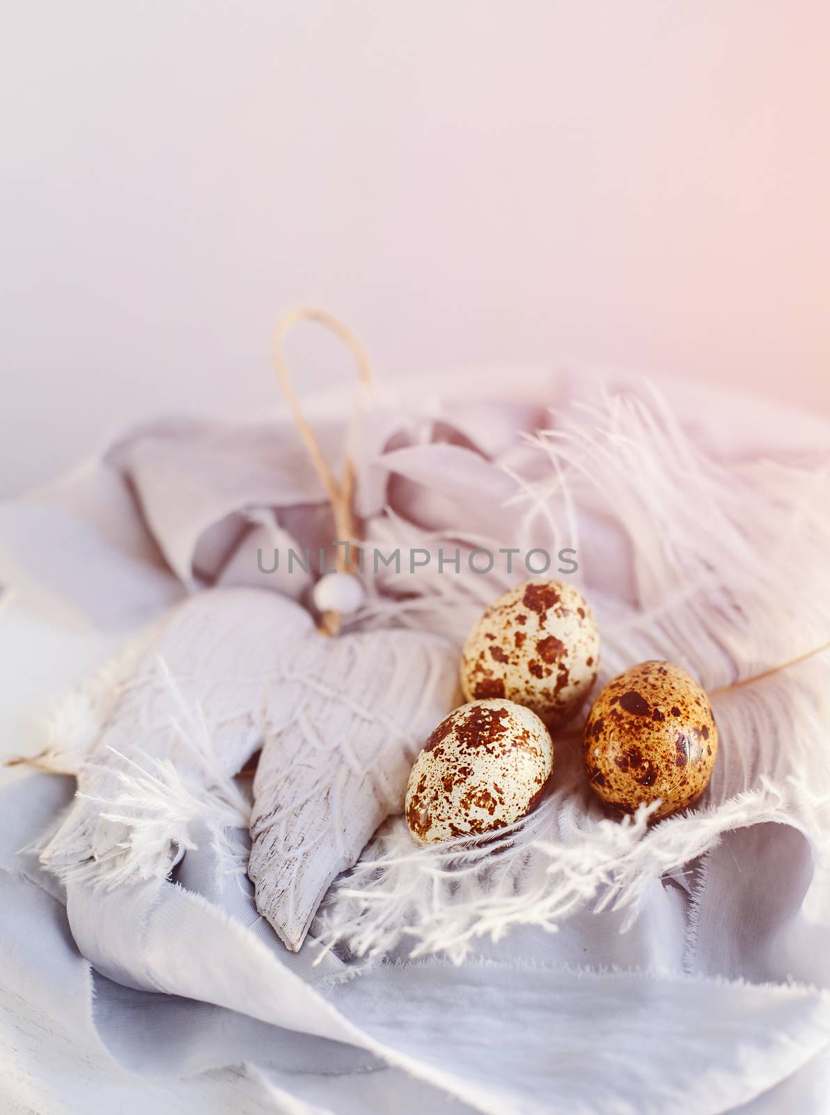 Easter eggs with white feather on white and gray background. Happy Easter holiday, front and top view.