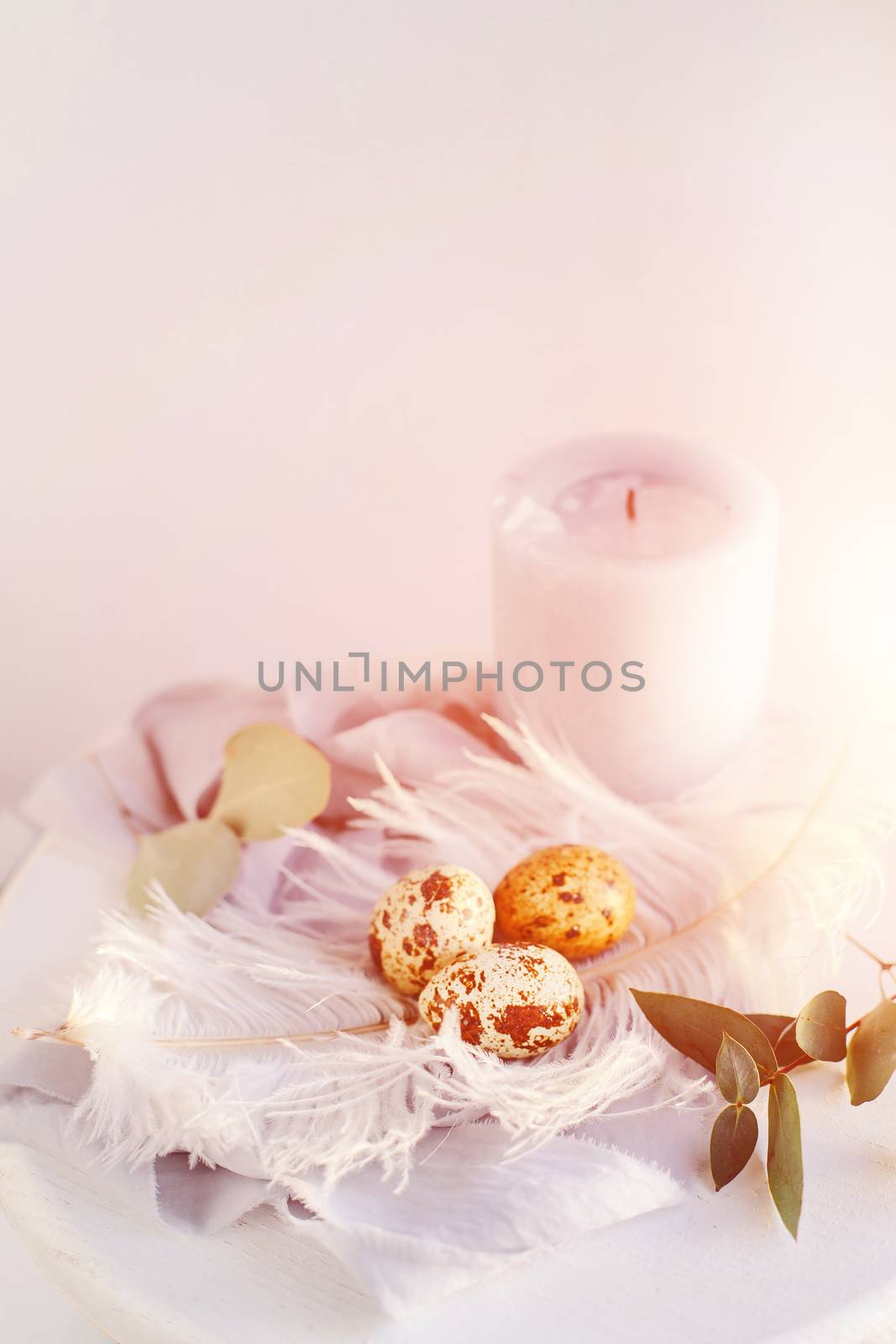 Easter eggs with white feather on white and gray background. Copy space. Happy Easter holiday, front and top view.