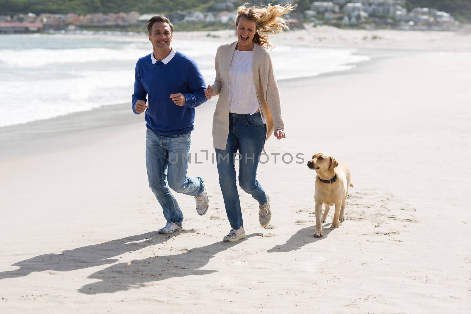 Mature couple walking on the beach with their dog by Wavebreakmedia