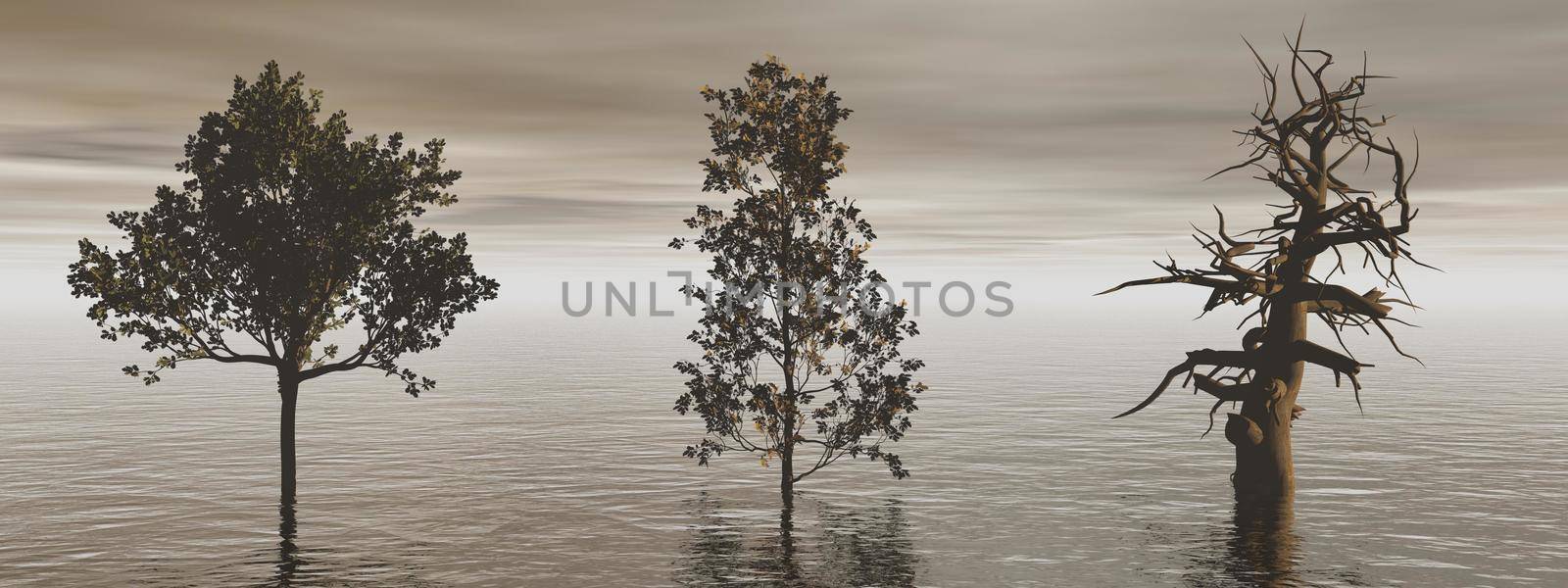 beautiful ocean view with two large trees - 3d rendering by mariephotos