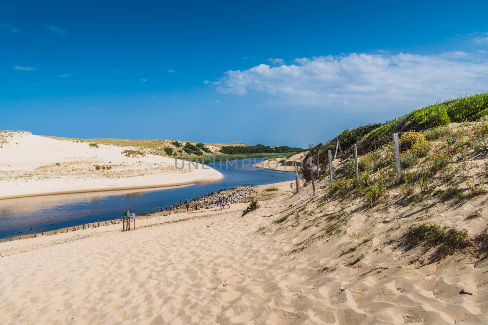 The mouth of the Huchet Current in the Landes in France