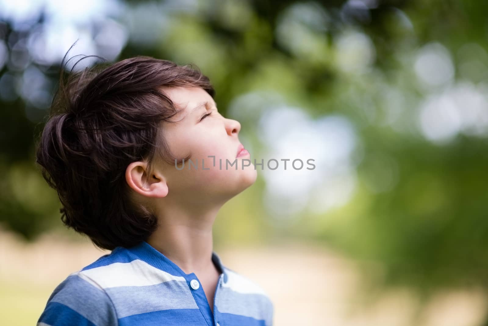 Innocent boy looking up in park on a sunny day