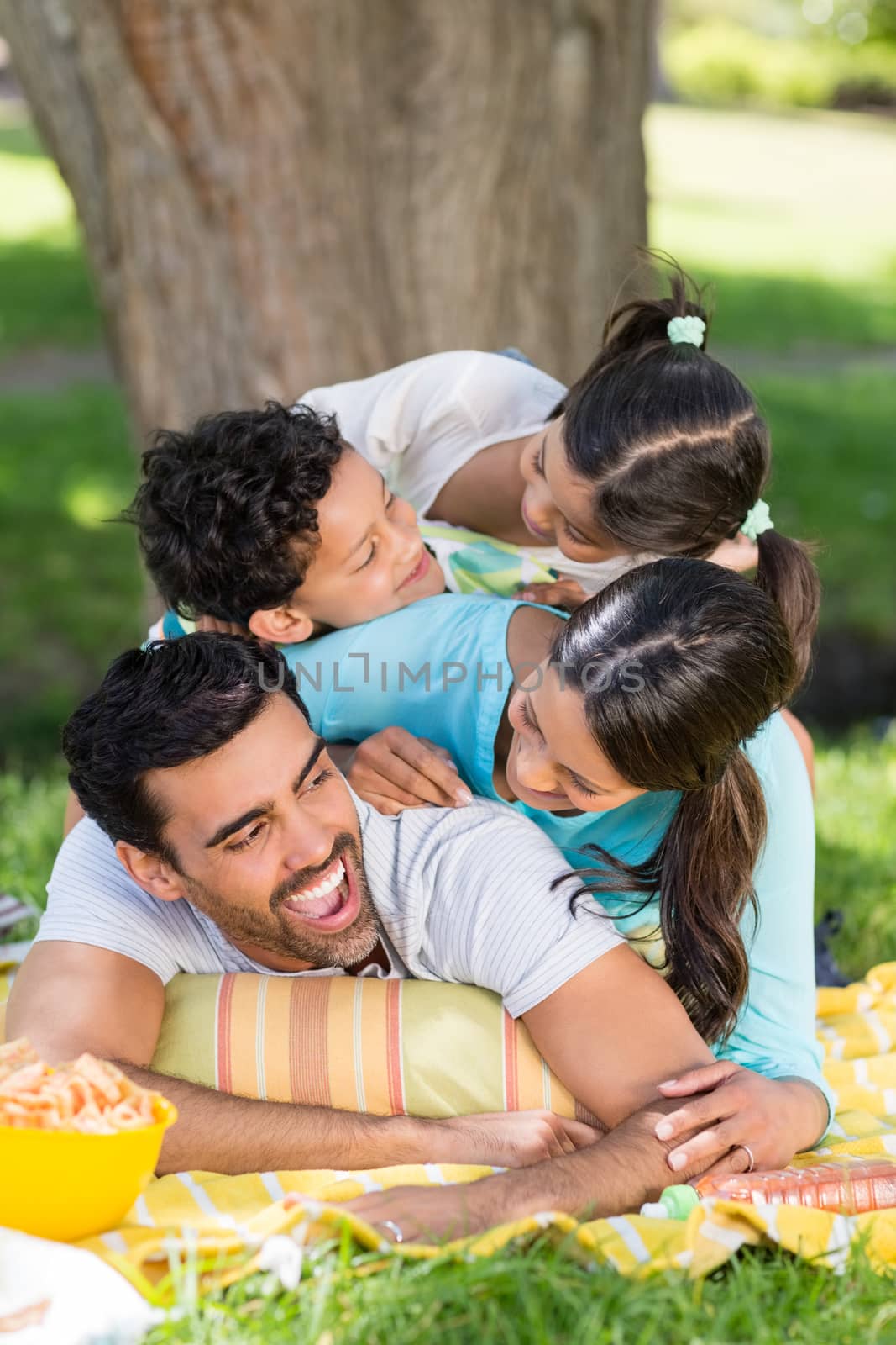 Portrait of happy family enjoying together in park on a sunny day
