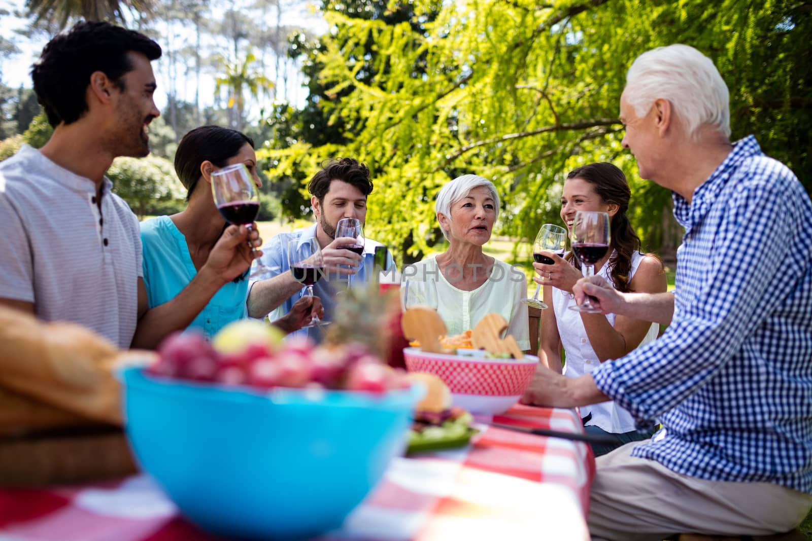 Happy family having glasses of wine in park