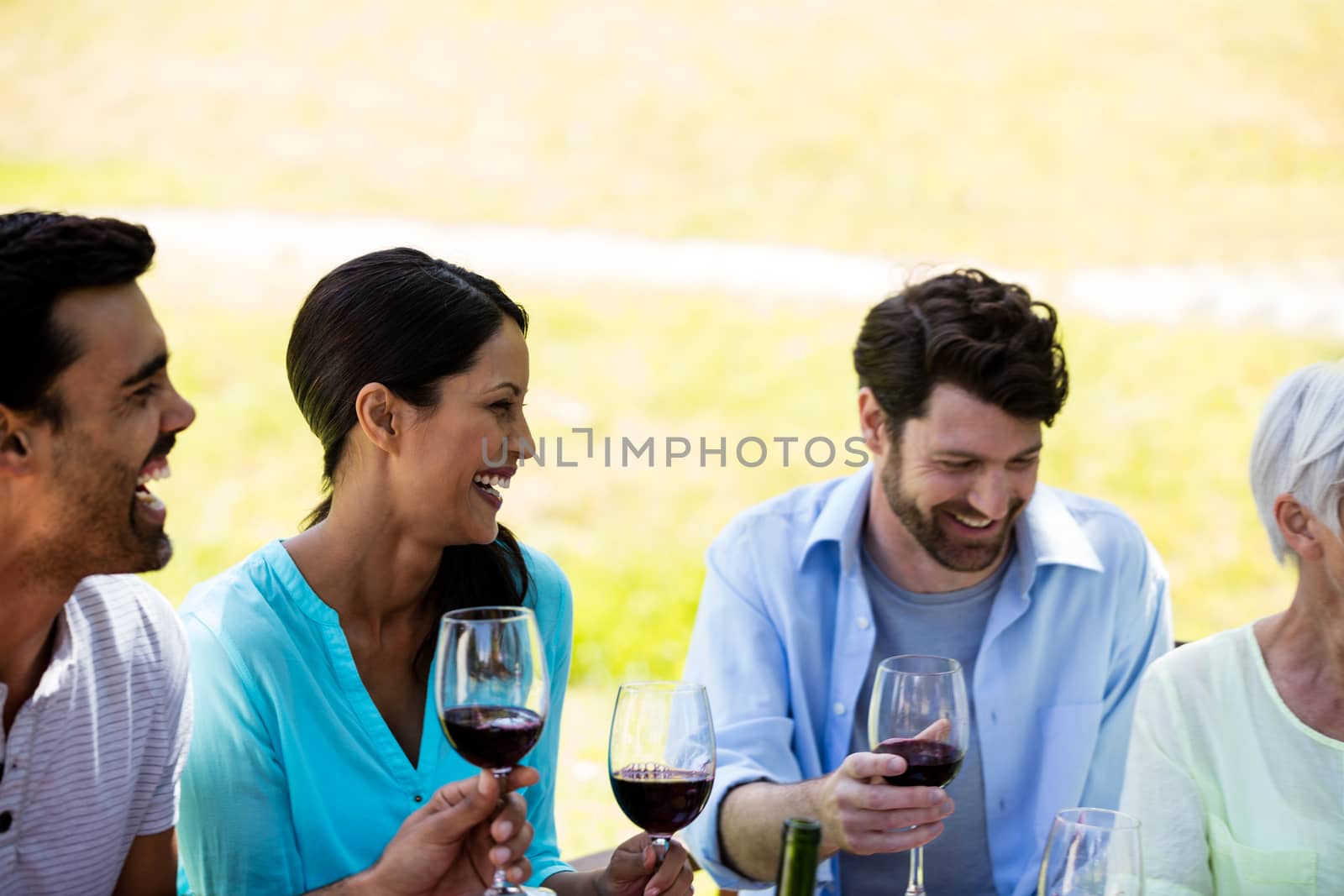 Happy family having glasses of wine in park