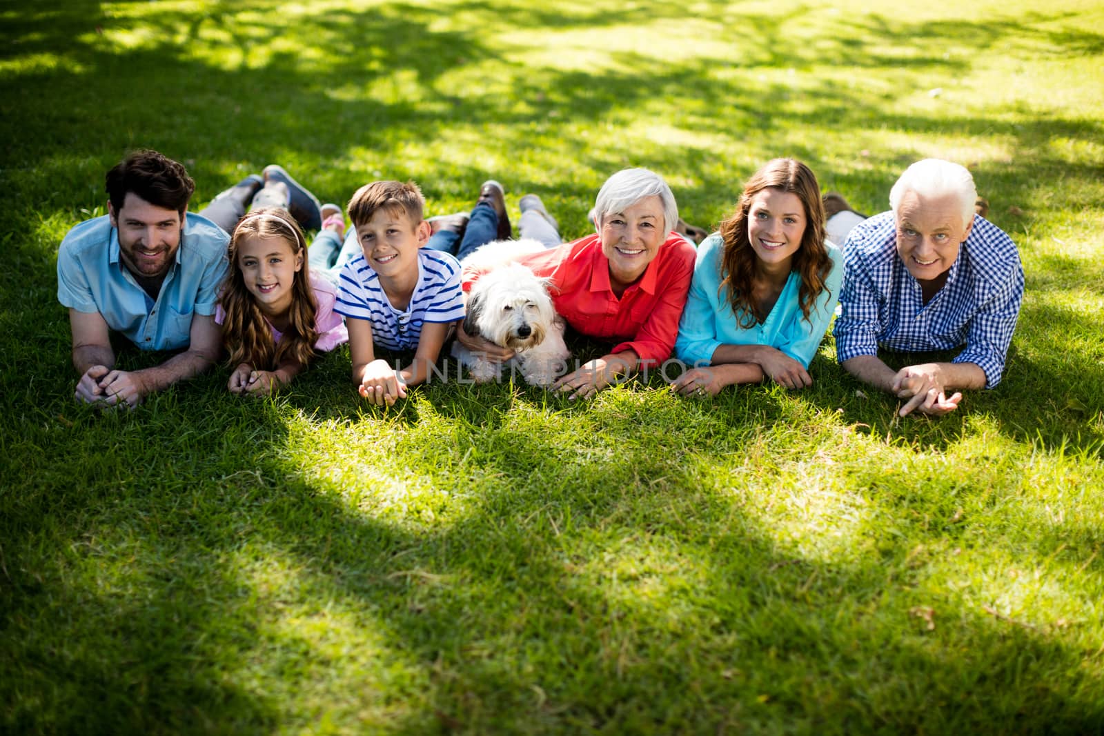 Family placing blanket in park by Wavebreakmedia