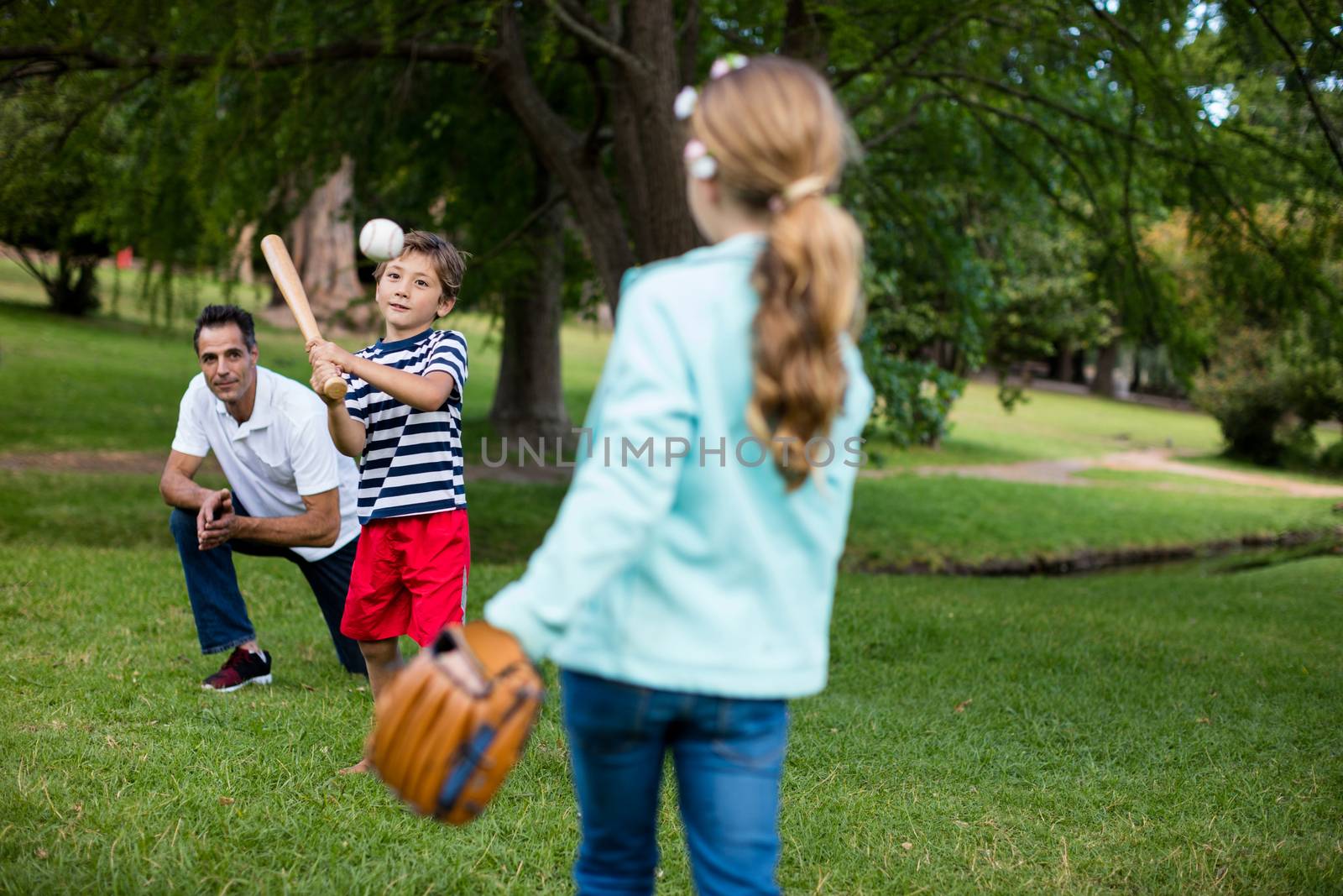 Family playing baseball in the park by Wavebreakmedia