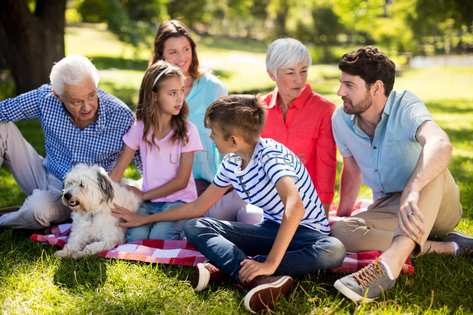 Happy family enjoying in park on sunny a day