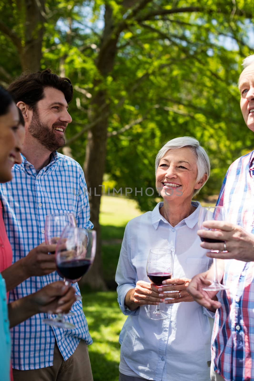 Happy family interacting while having red wine in park by Wavebreakmedia